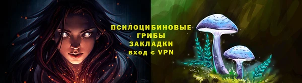 ешки Абинск