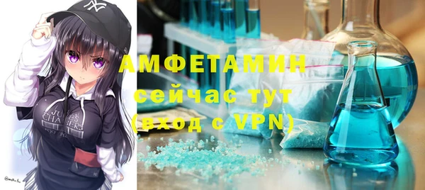 мет Алексин