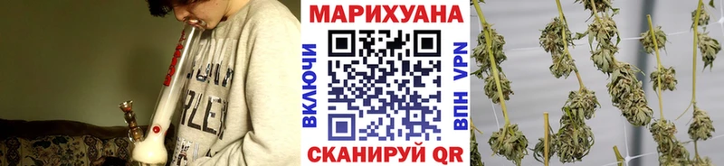 Канабис сатива  купить  сайты  Ростов-на-Дону 